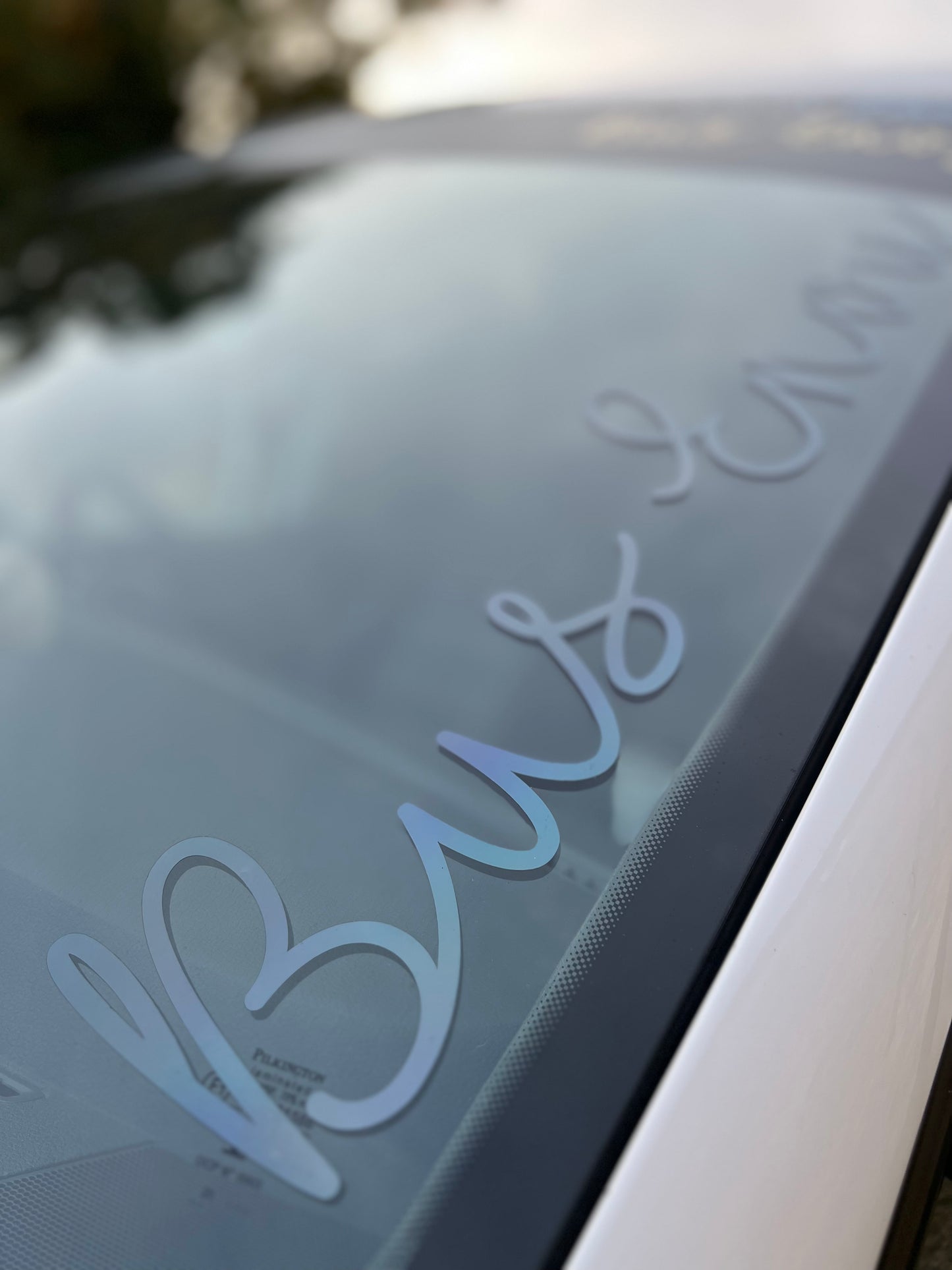 Signature Bus Envy sticker. 500mm