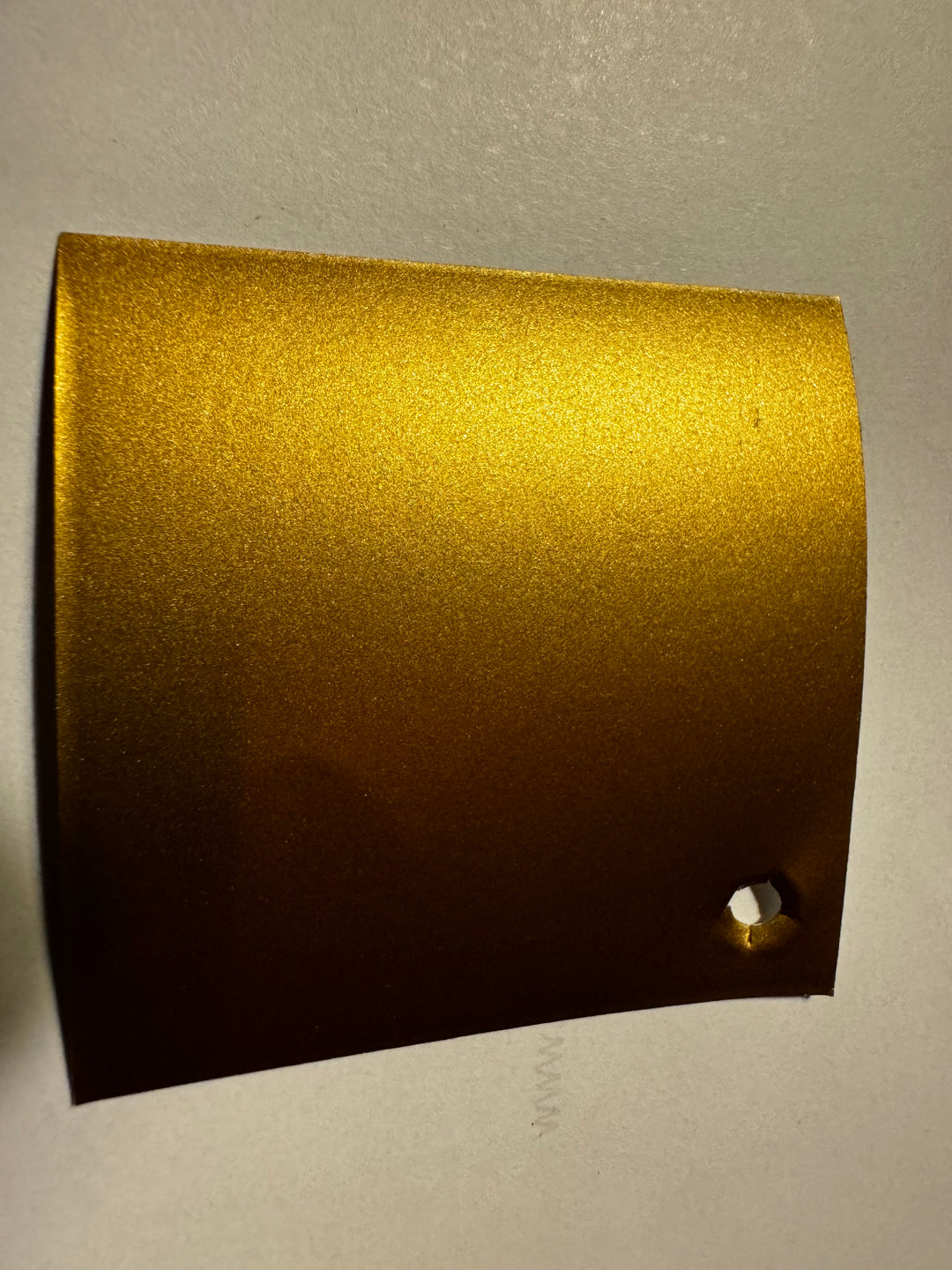 Signature Bus Envy sticker. 300mm long