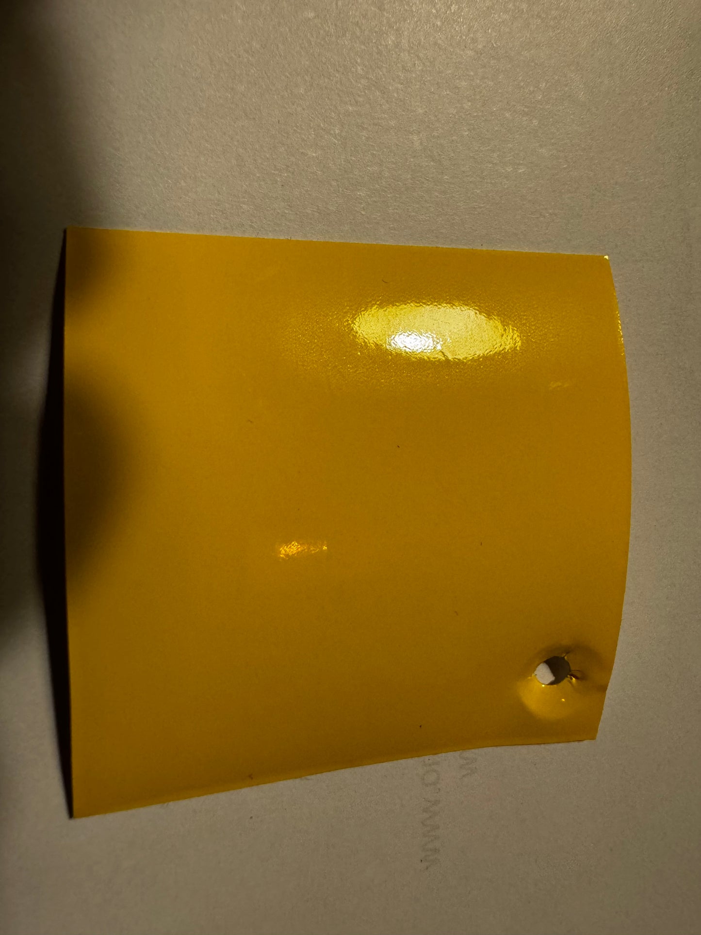 Signature Bus Envy sticker. 300mm long