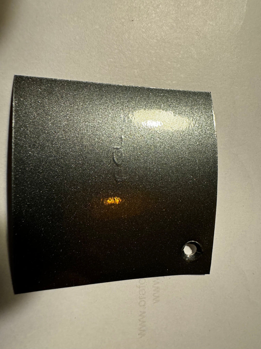 Signature Bus Envy sticker. 500mm