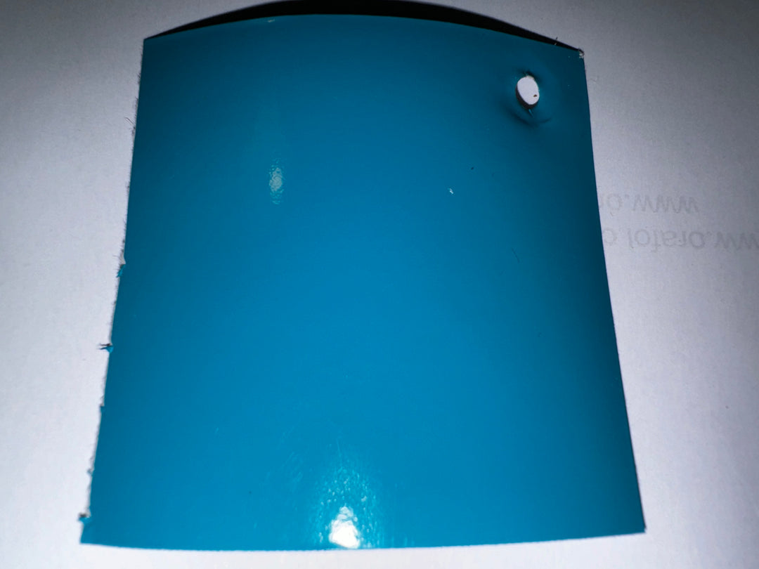 OG Bus Envy logo sticker. 600mm x 300mm