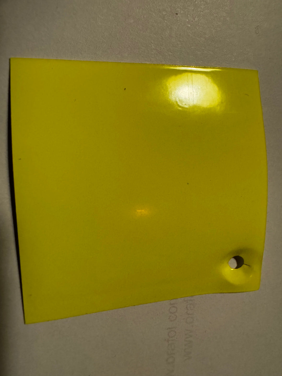 Signature Bus Envy sticker. 300mm long