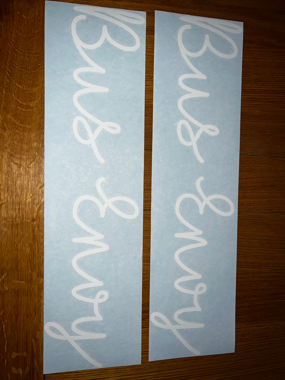 Signature Bus Envy sticker. 300mm long